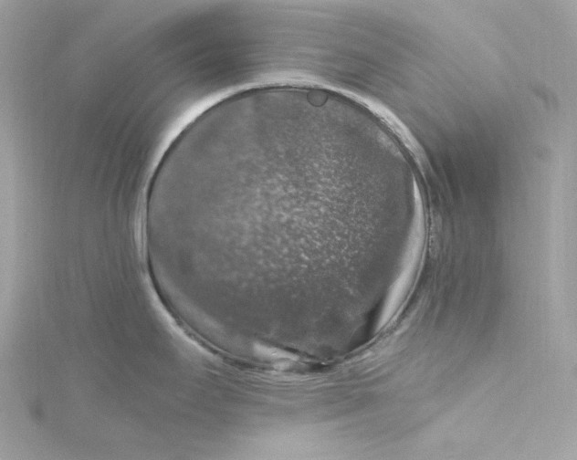 X0000115061295200911161600