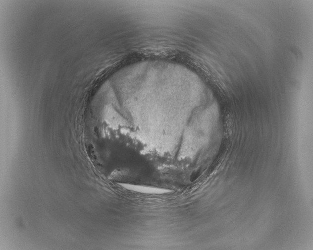 X0000115061297200911161600