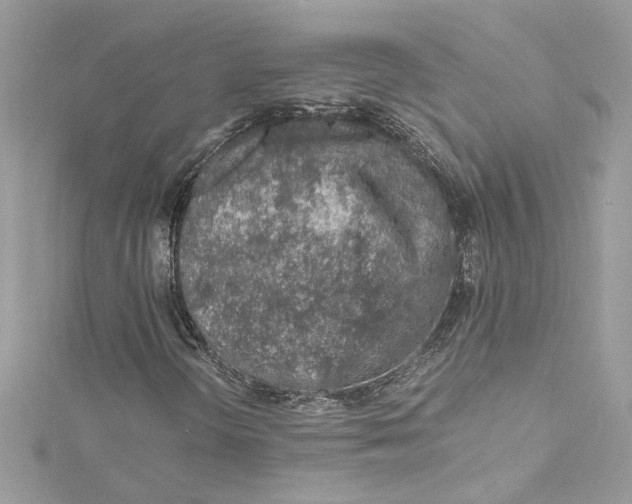 X0000115061298200911161600