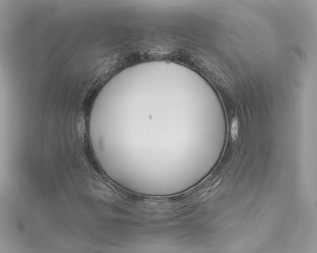 X0000115061299200911161600