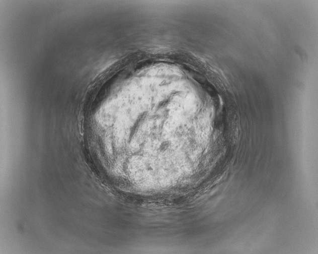 X0000115061301200911161600