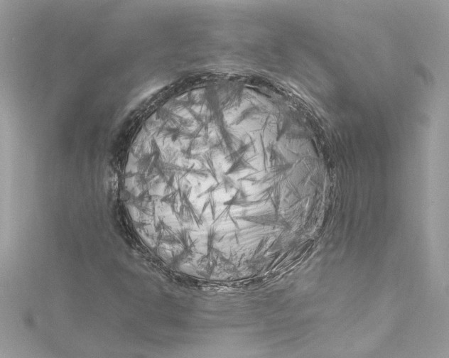 X0000115061302200911161600