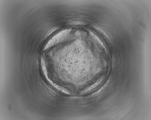 X0000115061305200911161600