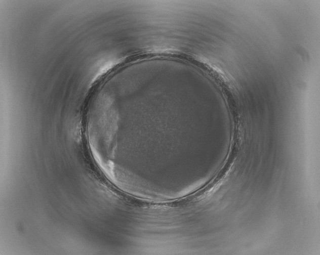 X0000115061306200911161600