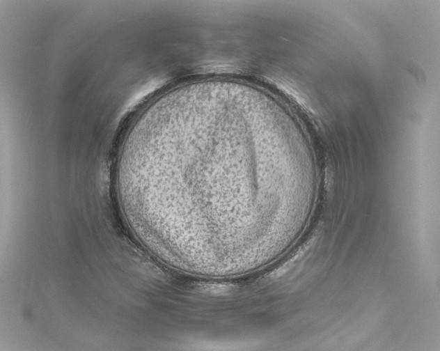 X0000115061309200911161600