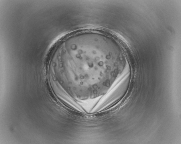 X0000115061310200911161600