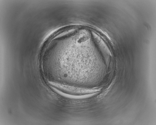 X0000115061311200911161600