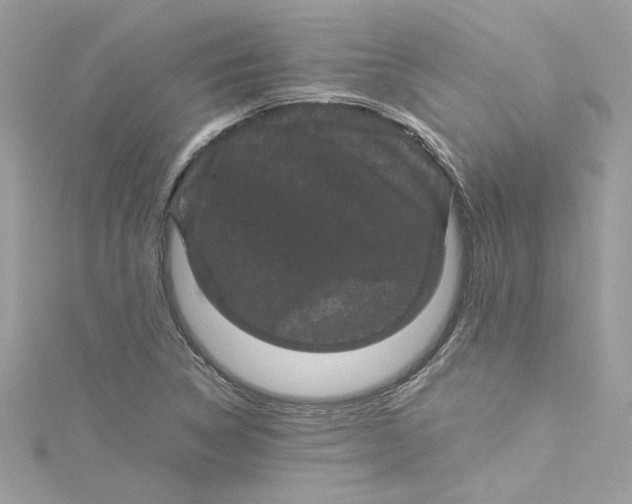 X0000115061314200911161600