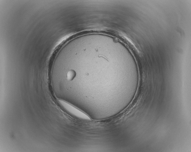 X0000115061315200911161600