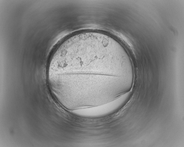 X0000115061318200911161600