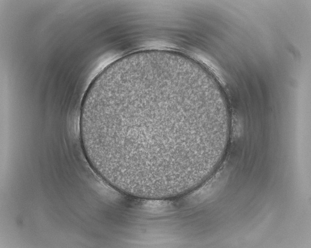 X0000115061322200911161600