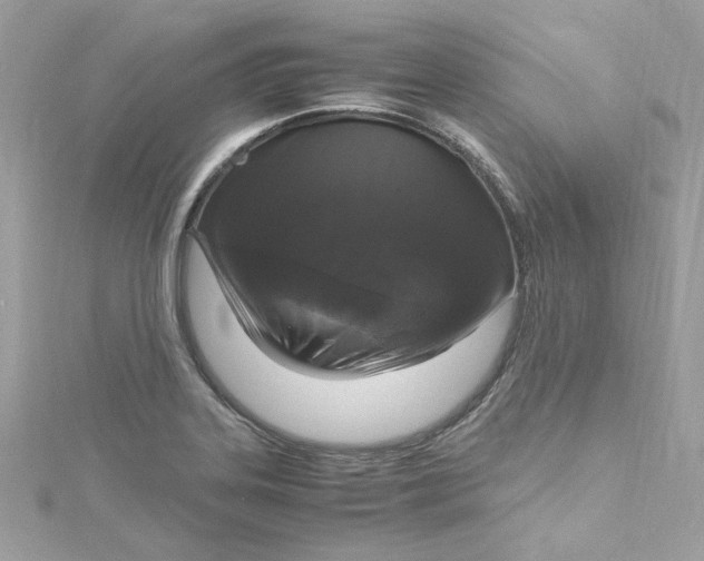 X0000115061323200911161600