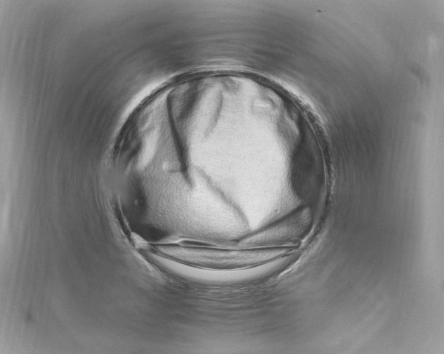 X0000115061325200911161600