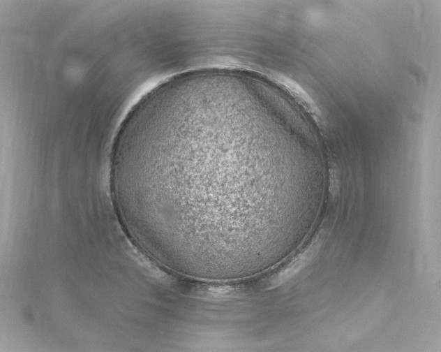 X0000115061326200911161600