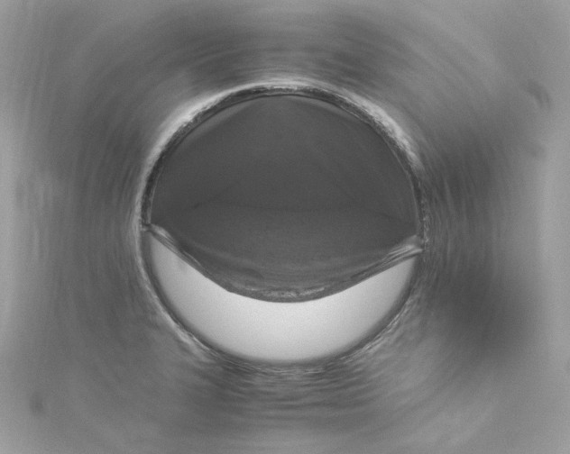 X0000115061327200911161600