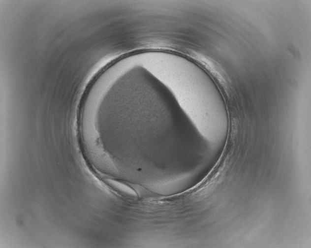 X0000115061331200911161600