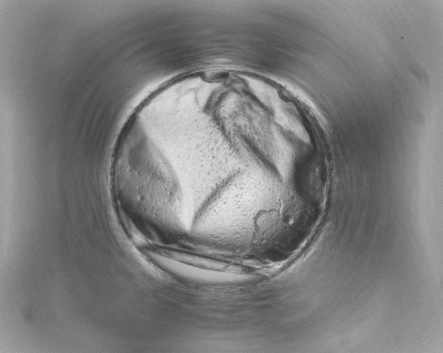 X0000115061333200911161600