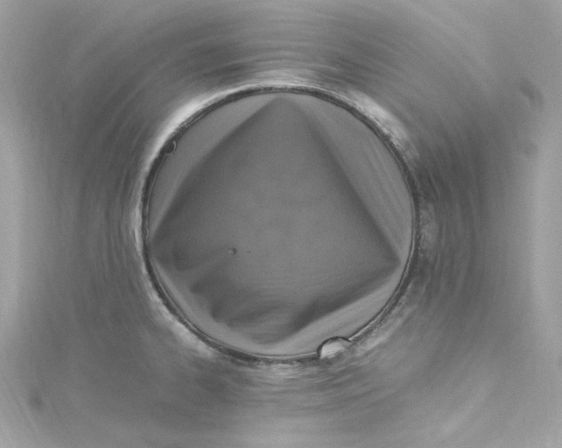 X0000115061334200911161600