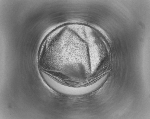 X0000115061335200911161600