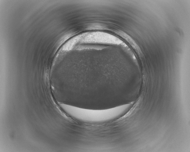 X0000115061337200911161600