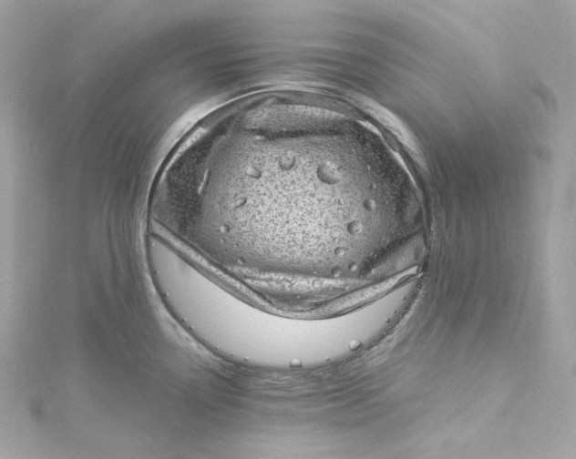 X0000115061338200911161600