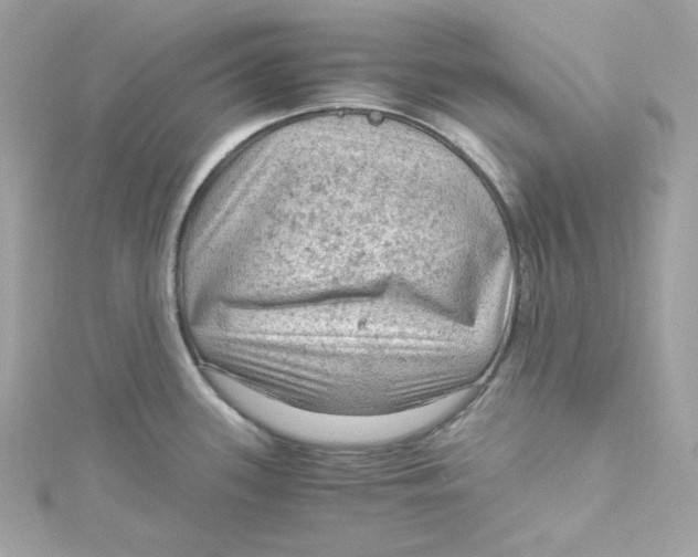 X0000115061339200911161600