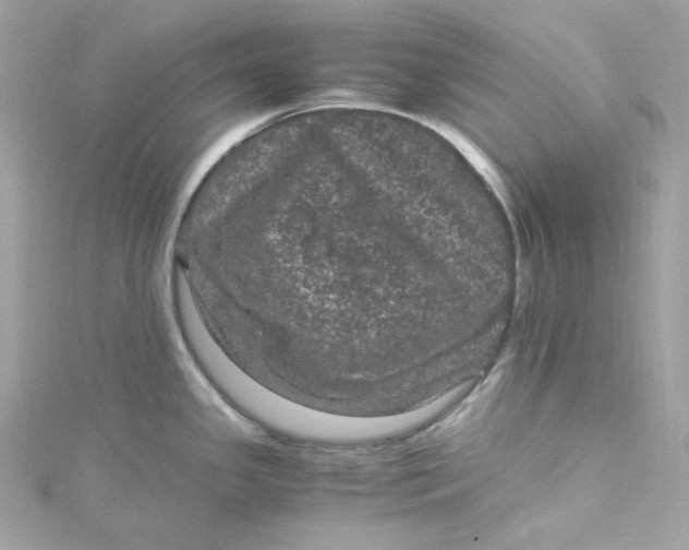 X0000115061341200911161600