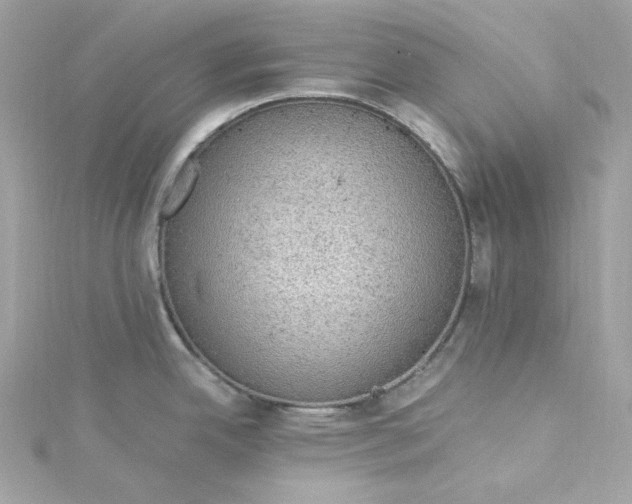 X0000115061342200911161600