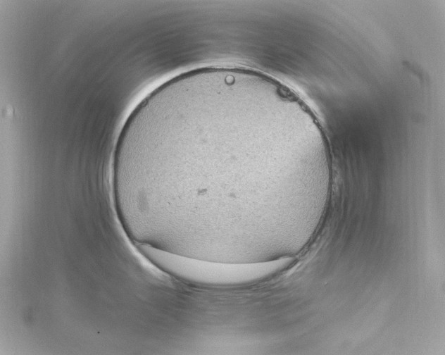 X0000115061343200911161600