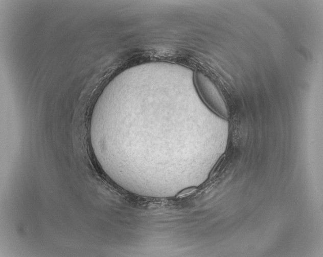 X0000115061345200911161600