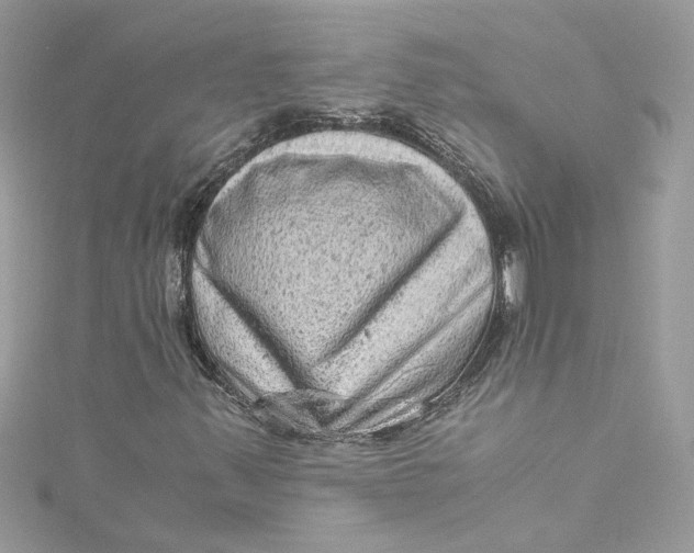 X0000115061347200911161600