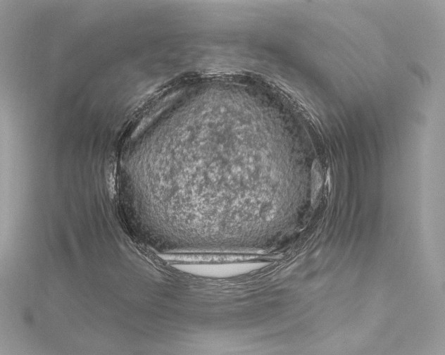 X0000115061348200911161600