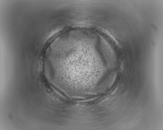 X0000115061350200911161600