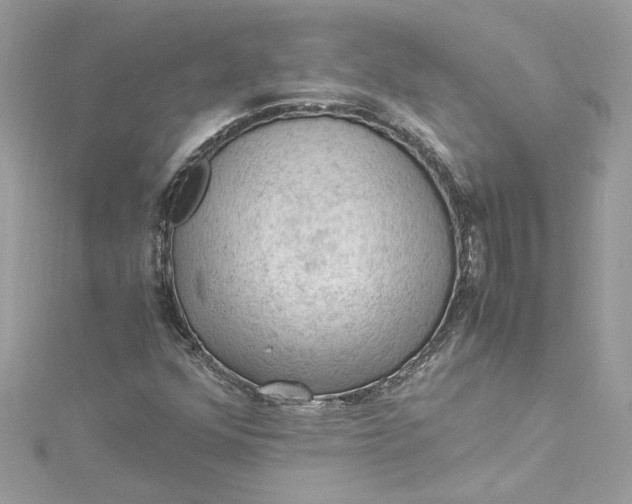 X0000115061352200911161600