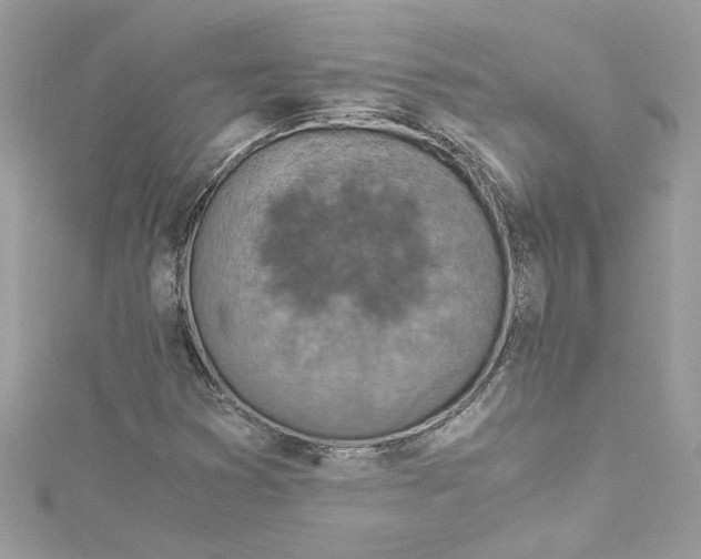 X0000115061353200911161600