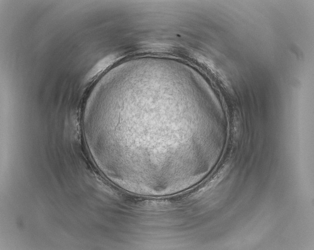 X0000115061354200911161600