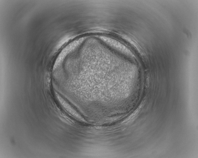 X0000115061355200911161600