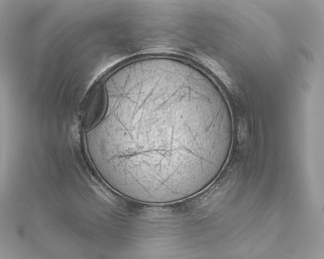 X0000115061356200911161600