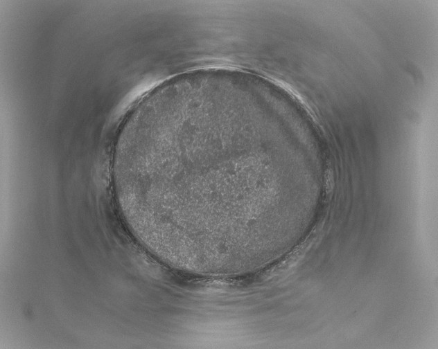 X0000115061359200911161559