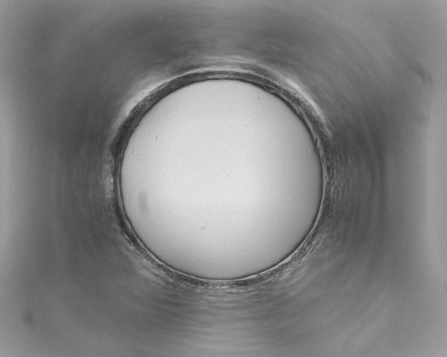 X0000115061360200911161559