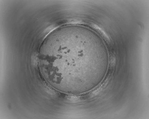 X0000115061361200911161559