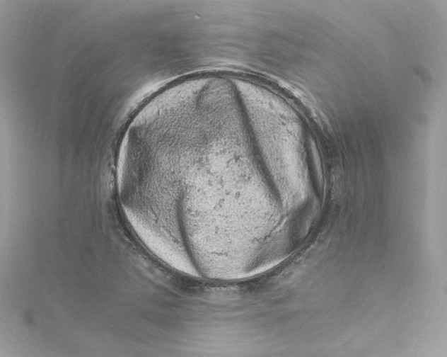 X0000115061363200911161559