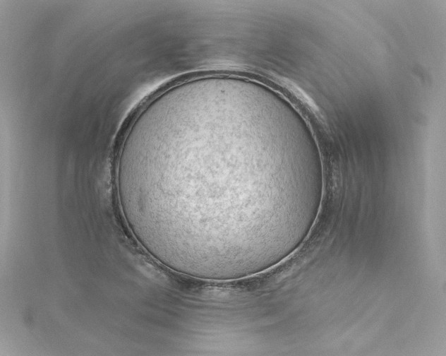 X0000115061364200911161559