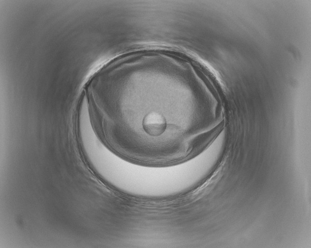 X0000115061365200911161559