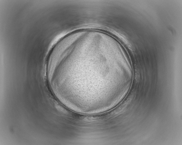 X0000115061366200911161559