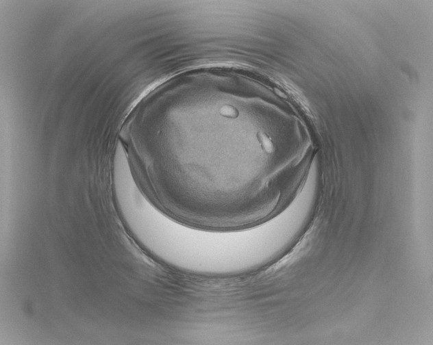 X0000115061369200911161559