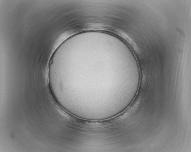 X0000115061370200911161559