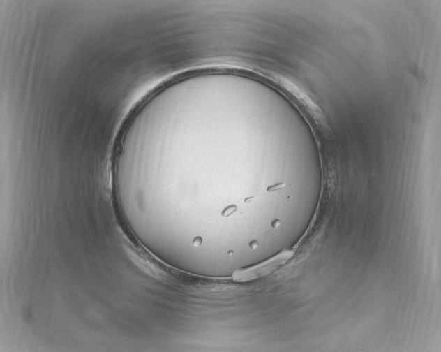 X0000115061372200911161559