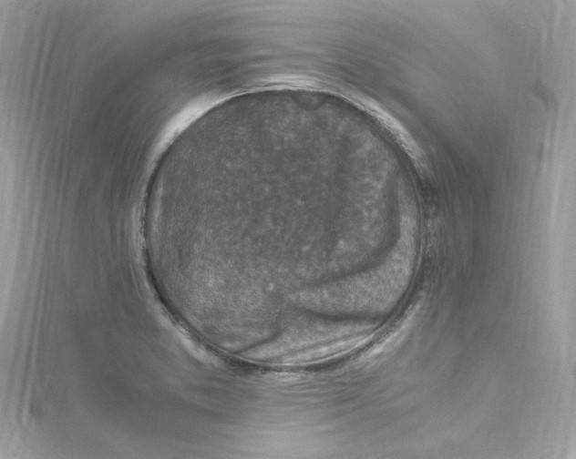 X0000115061373200911161559