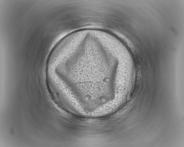 X0000115061375200911161559